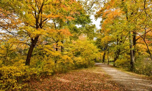 Dufferin Islands