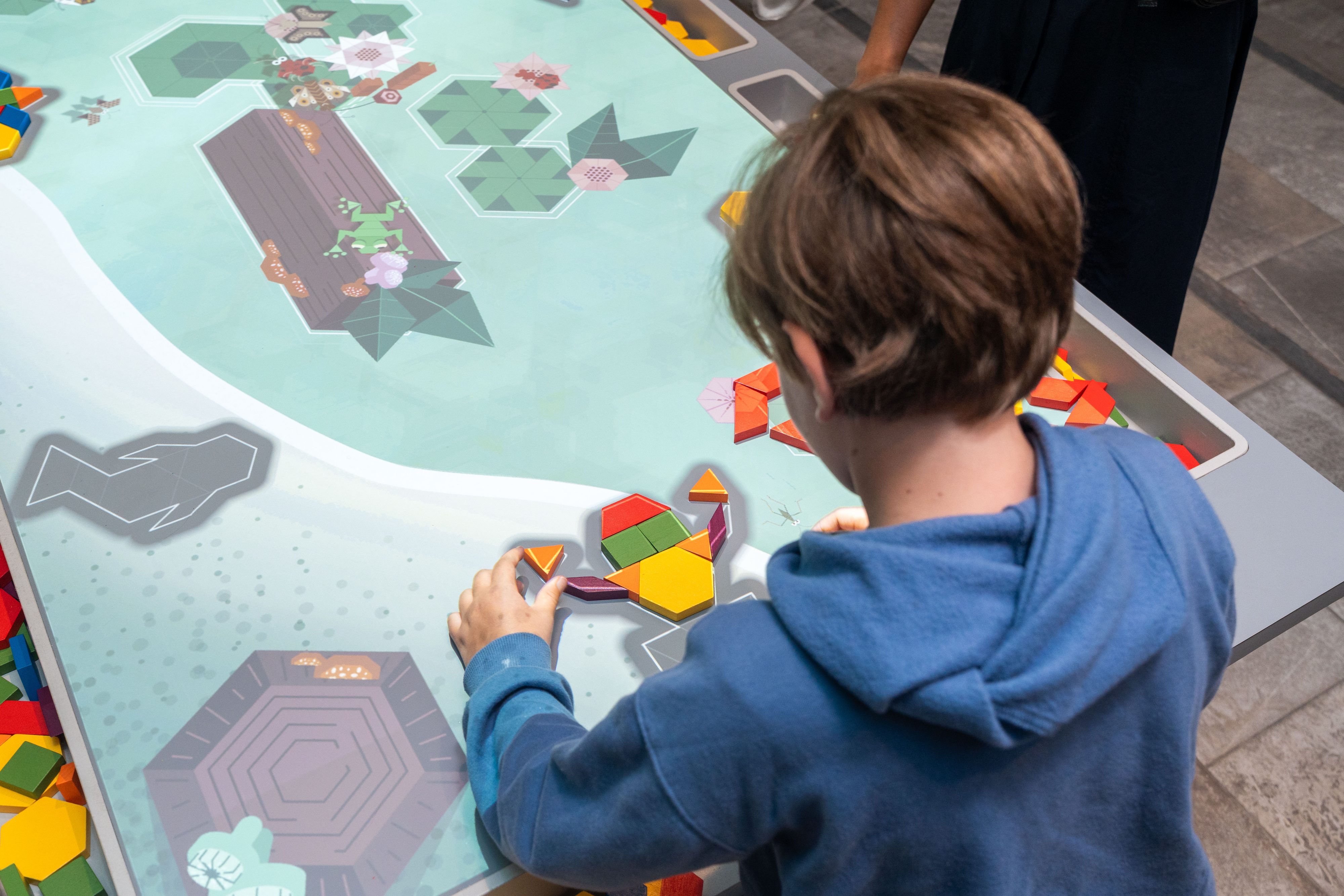 The Puzzle Pond