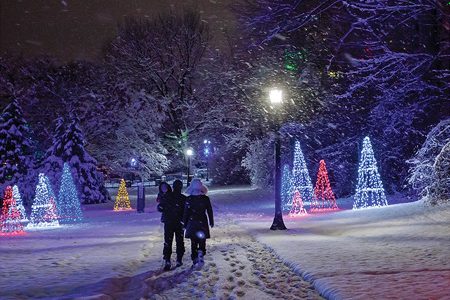 FESTIVAL DES LUMIÈRES D’HIVER