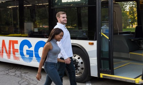 Two-day WEGO Access