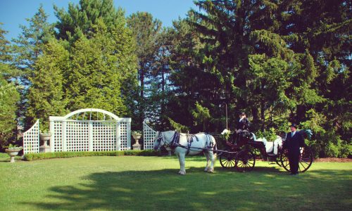 Wedding Arbour
