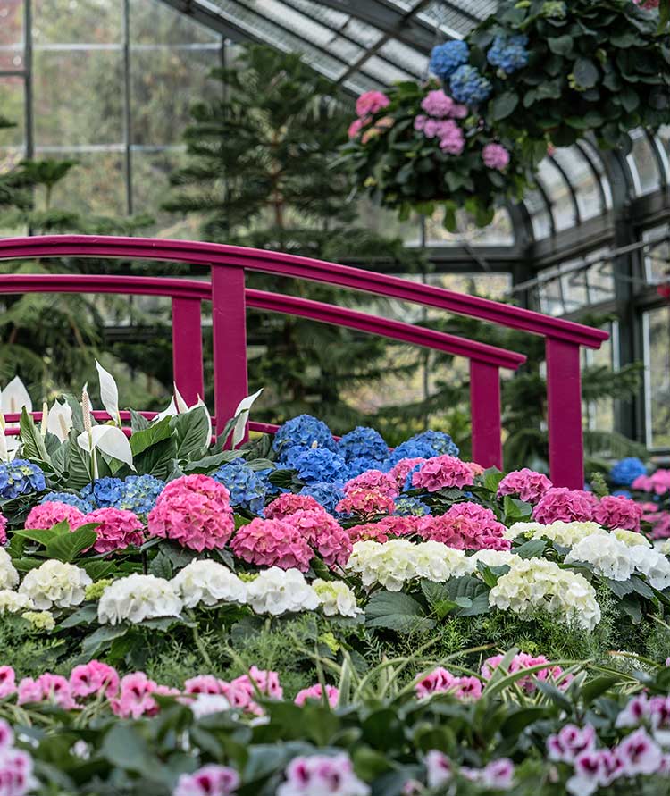 Floral Showhouse