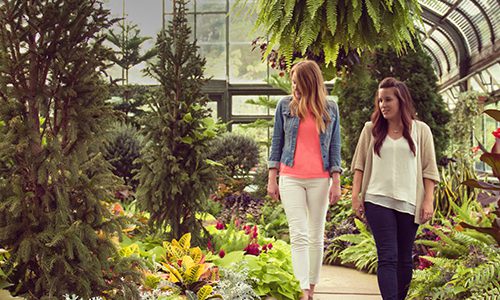 Floral Showhouse