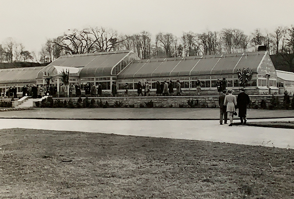 A black and white photo of the Hydrangrea Show at the Floral Showhouse