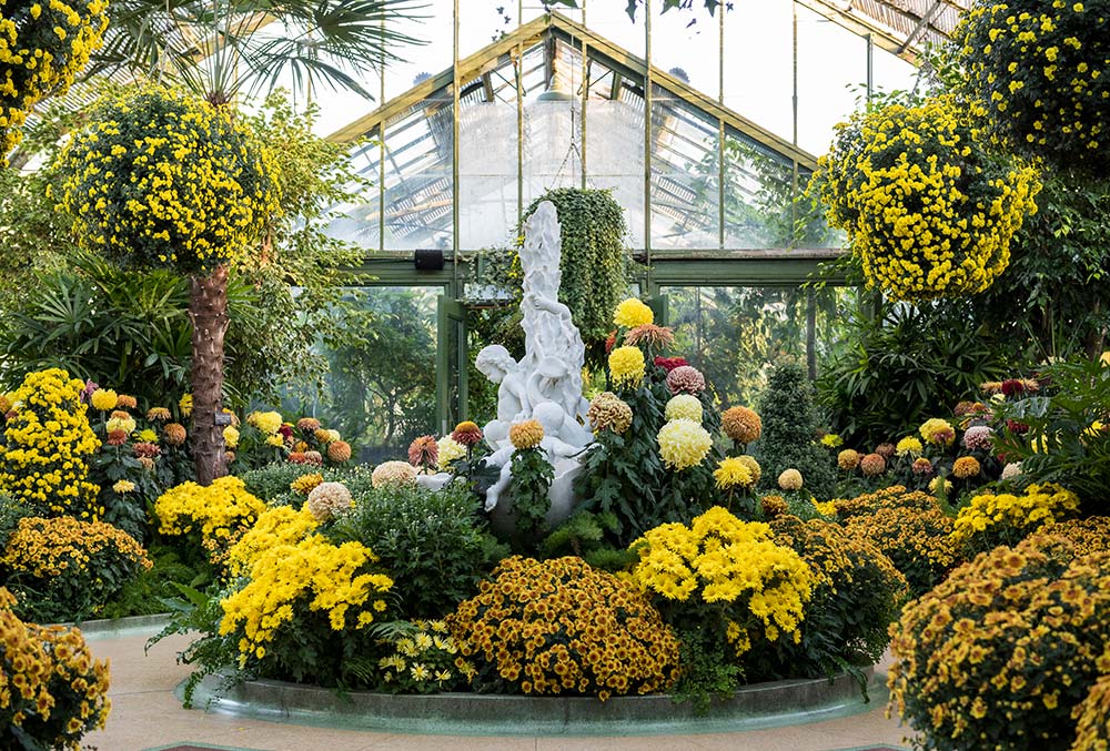 Nature and Gardens