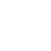 A ticket