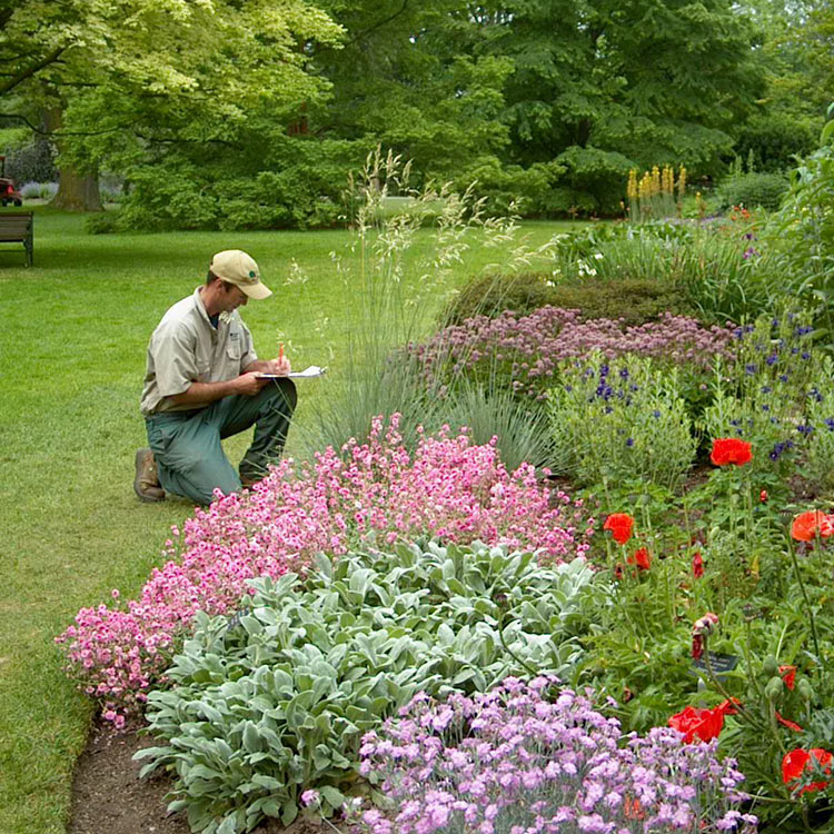  Étudiant à genoux près d'un lit de jardin