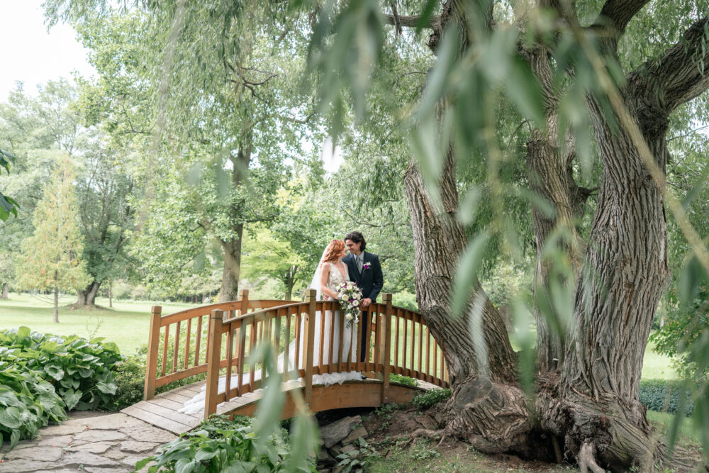 Willow Pond