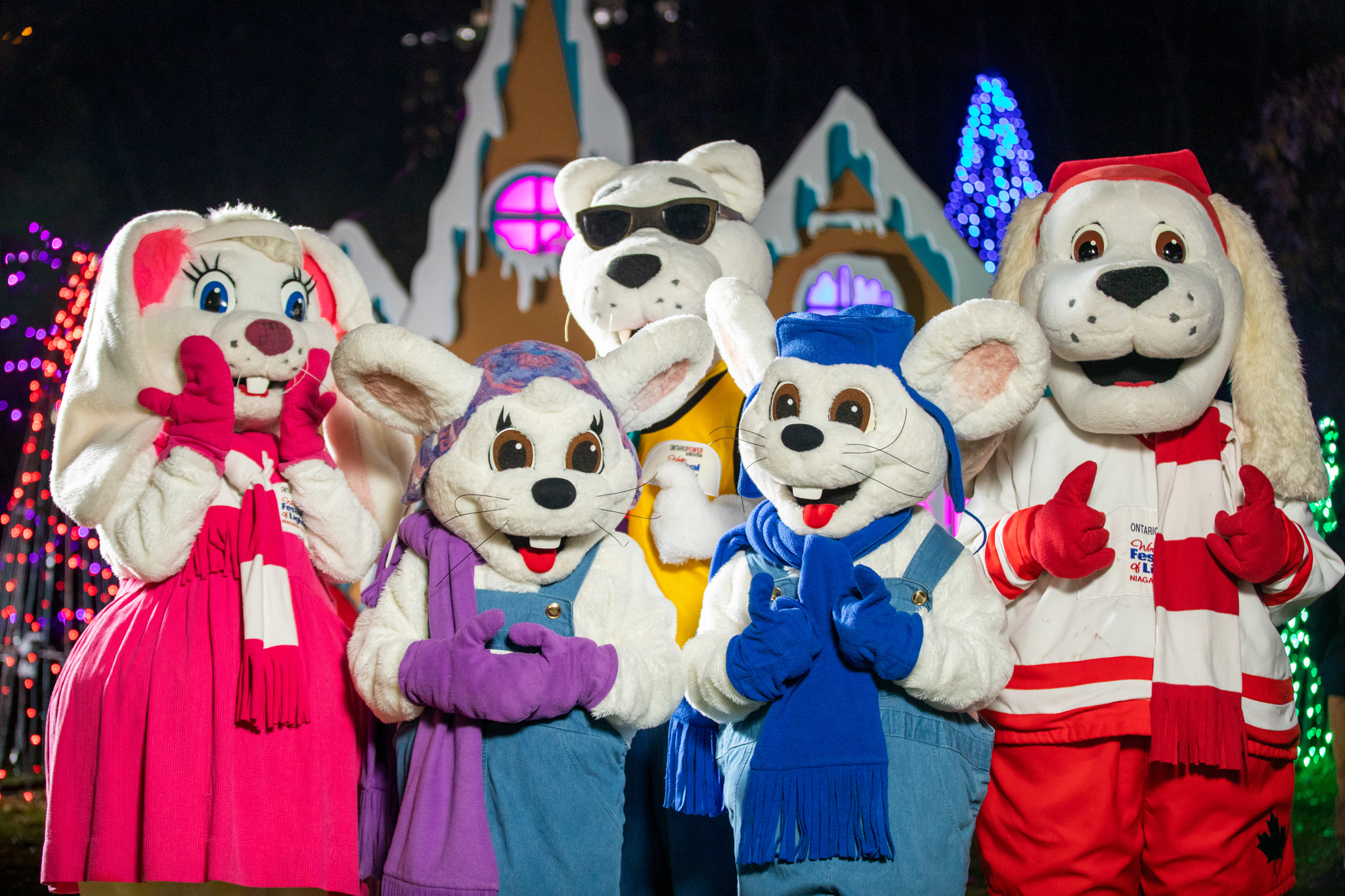 Attraction Image
